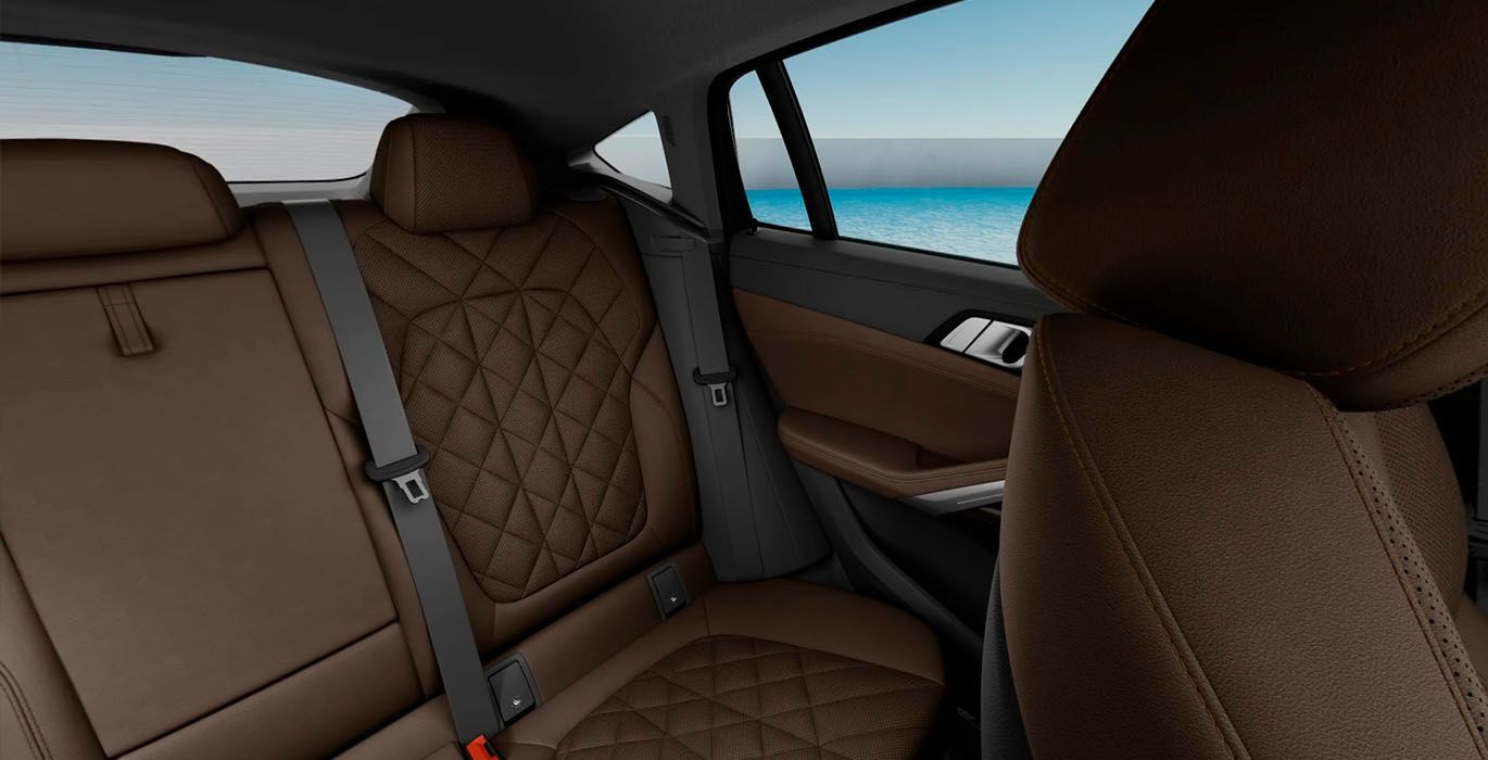 Renting BMW X6 xDrive30d M Sport