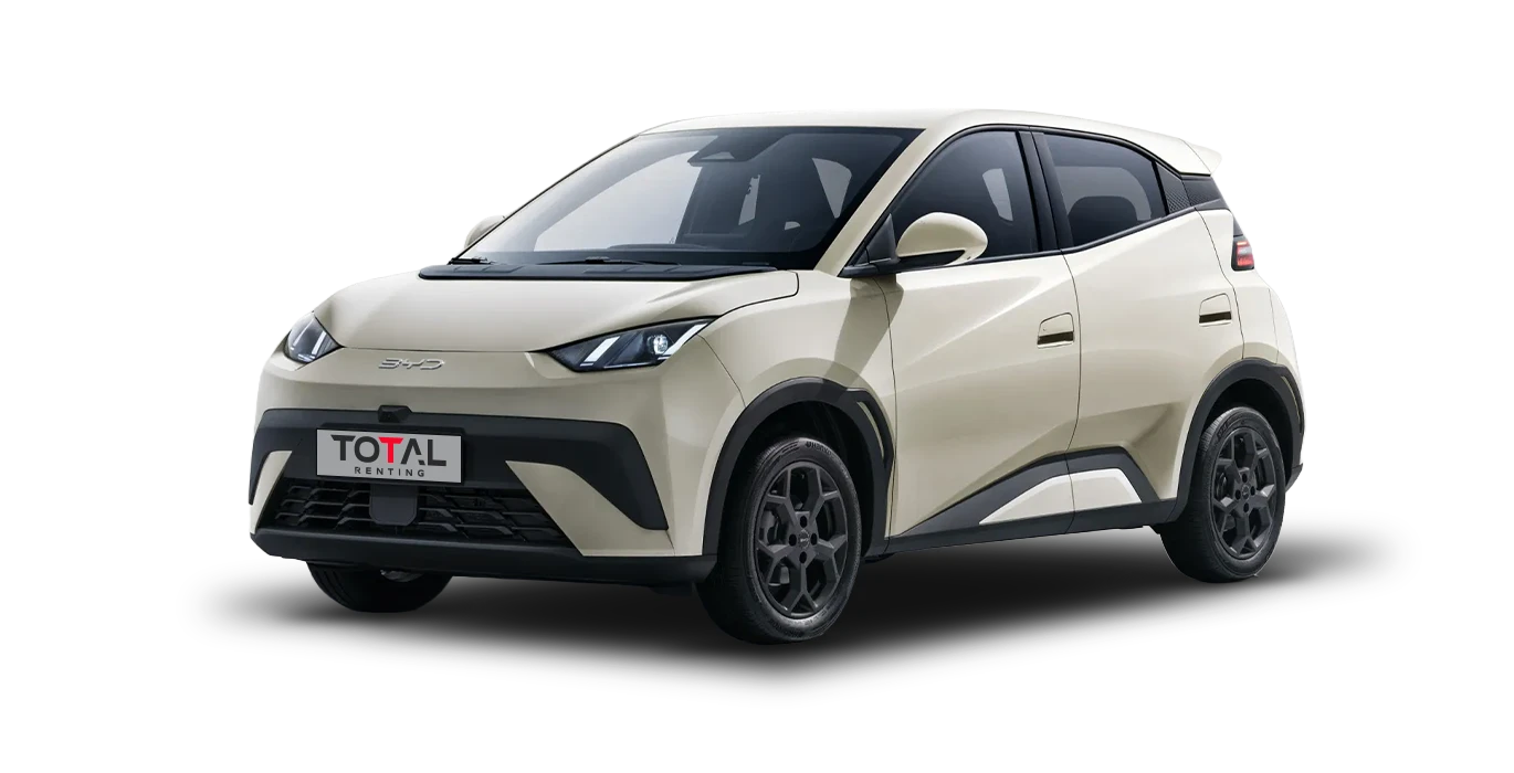 Renting BYD Dolphin Surf Boost
